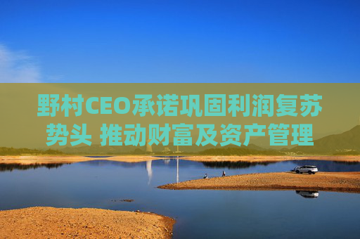 野村CEO承诺巩固利润复苏势头 推动财富及资产管理业务进入高增长阶段  第1张