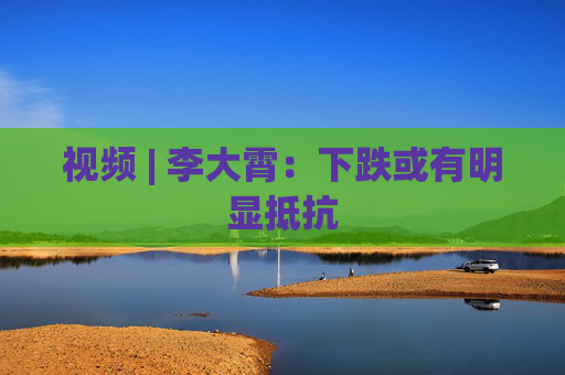 视频 | 李大霄：下跌或有明显抵抗