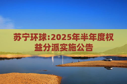 苏宁环球:2025年半年度权益分派实施公告