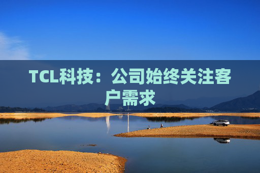 TCL科技:公司始终关注客户需求
