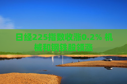 日经225指数收涨0.2% 机械和钢铁股领涨