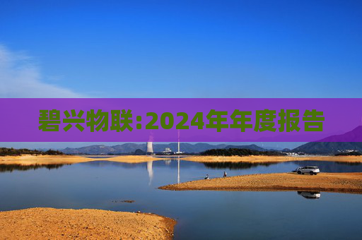 碧兴物联:2024年年度报告  第1张