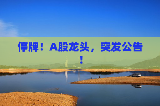 停牌！A股龙头，突发公告！  第1张