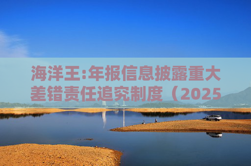 海洋王:年报信息披露重大差错责任追究制度（2025年12月）