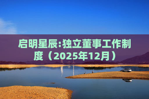启明星辰:独立董事工作制度(2025年12月)