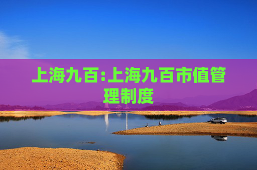上海九百:上海九百市值管理制度
