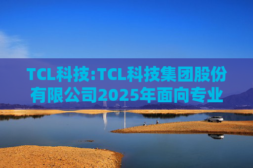 TCL科技:TCL科技集团股份有限公司2025年面向专业投资者公开发行科技创新公司债券（数字经济）（第一期）发行公告