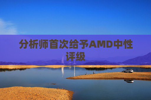 分析师首次给予AMD中性评级
