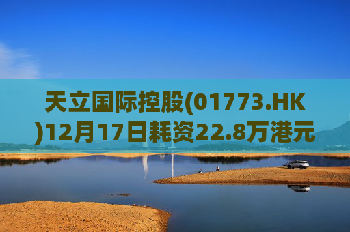 天立国际控股(01773.HK)12月17日耗资22.8万港元回购10万股
