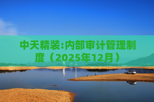 中天精装:内部审计管理制度(2025年12月)
