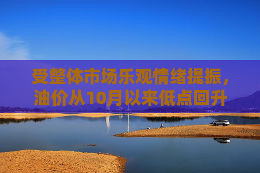 受整体市场乐观情绪提振,油价从10月以来低点回升 第1张 受整体市场乐观情绪提振,油价从10月以来低点回升 第1张