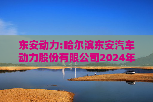 东安动力:哈尔滨东安汽车动力股份有限公司2024年度内部控制审计报告