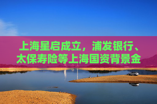 上海星启成立，浦发银行、太保寿险等上海国资背景金融机构参与  第1张