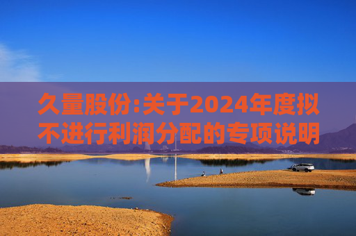久量股份:关于2024年度拟不进行利润分配的专项说明  第1张