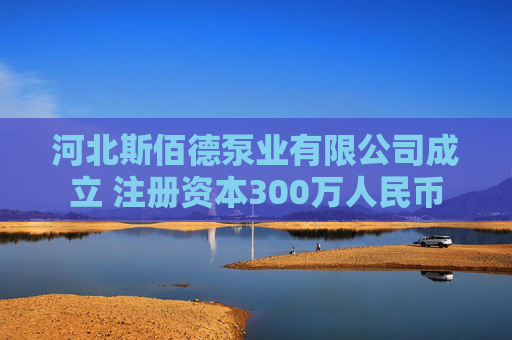 河北斯佰德泵业有限公司成立 注册资本300万人民币  第1张