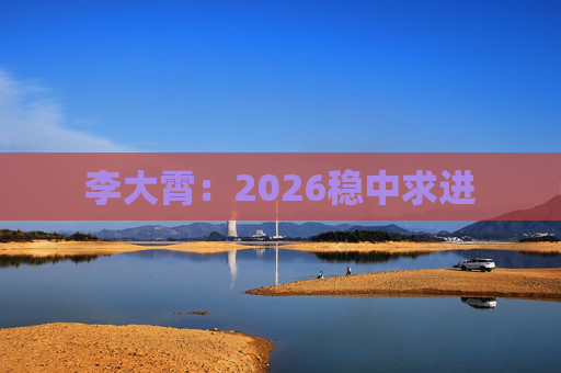 李大霄：2026稳中求进