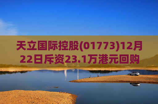 天立国际控股(01773)12月22日斥资23.1万港元回购10万股
