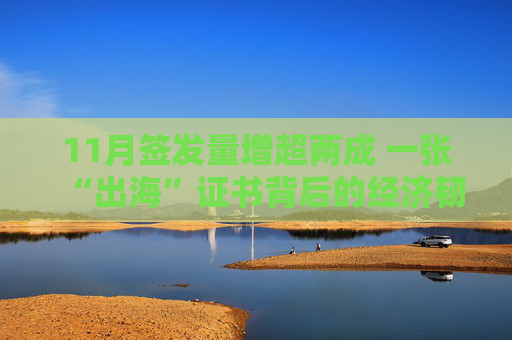 11月签发量增超两成 一张“出海”证书背后的经济韧性