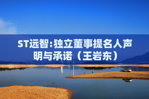 ST远智:独立董事提名人声明与承诺（王岩东）