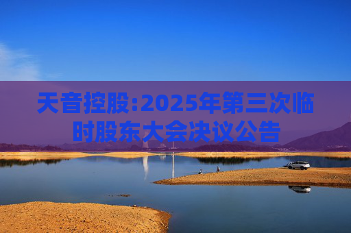 天音控股:2025年第三次临时股东大会决议公告