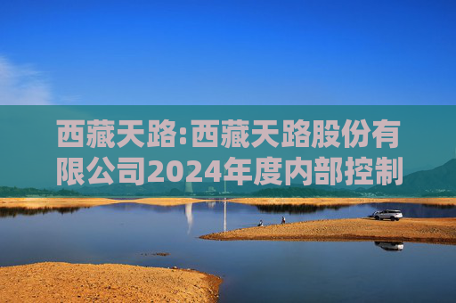 西藏天路:西藏天路股份有限公司2024年度内部控制鉴证报告  第1张