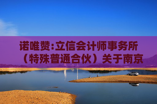 诺唯赞:立信会计师事务所（特殊普通合伙）关于南京诺唯赞生物科技股份有限公司2024年度非经营性资金占用及其他关联资金往来情况的专项报告  第1张