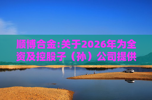 顺博合金:关于2026年为全资及控股子（孙）公司提供担保的公告  第1张