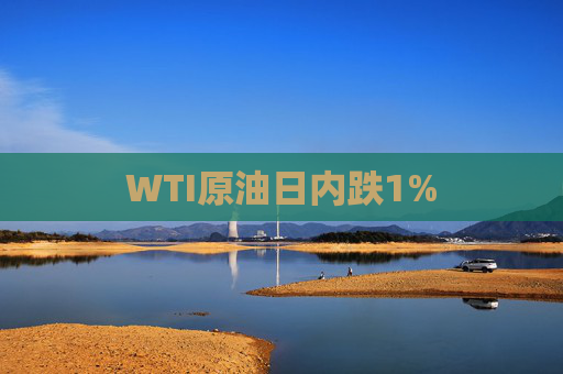 WTI原油日内跌1%