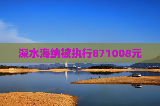 深水海纳被执行871008元
