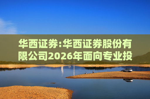 华西证券:华西证券股份有限公司2026年面向专业投资者公开发行公司债券（第一期）信用评级报告  第1张
