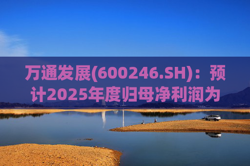 万通发展(600246.SH)：预计2025年度归母净利润为负值