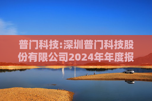 普门科技:深圳普门科技股份有限公司2024年年度报告  第1张