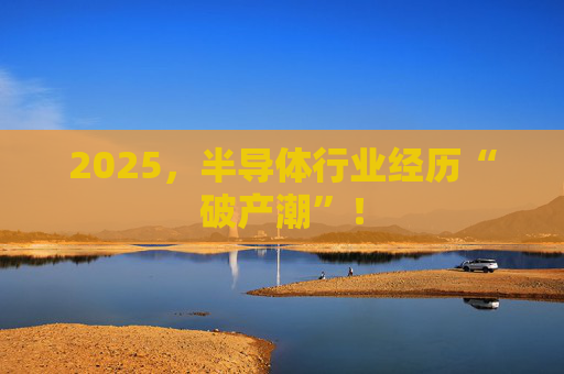 2025，半导体行业经历“破产潮”！