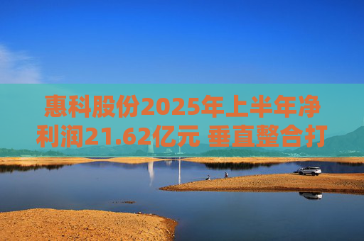 惠科股份2025年上半年净利润21.62亿元 垂直整合打造显示产业全链条优势
