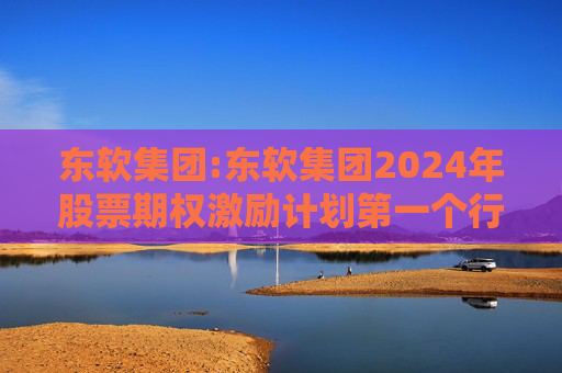 东软集团:东软集团2024年股票期权激励计划第一个行权期2025年第四季度自主行权结果暨股份变动的公告