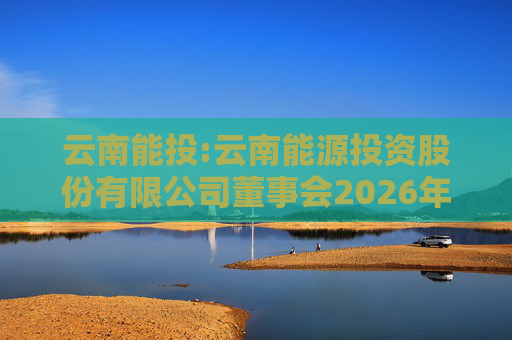 云南能投:云南能源投资股份有限公司董事会2026年第一次临时会议决议公告
