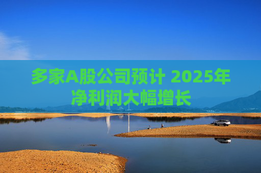 多家A股公司预计 2025年净利润大幅增长 第1张 多家A股公司预计 2025年净利润大幅增长 第1张