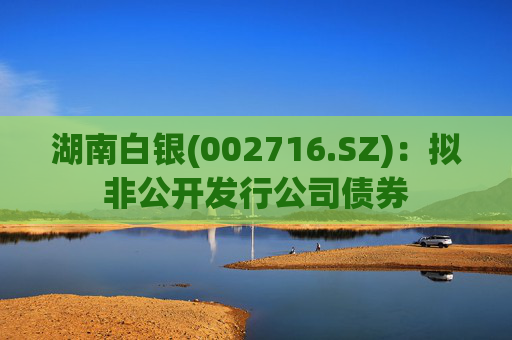 湖南白银(002716.SZ)：拟非公开发行公司债券  第1张