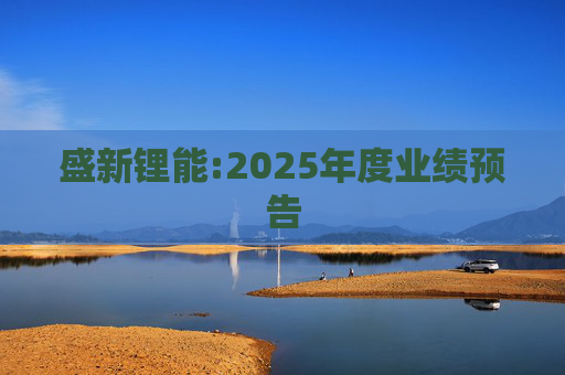 盛新锂能:2025年度业绩预告