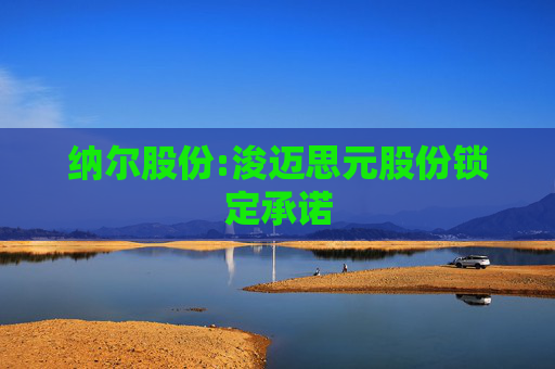 纳尔股份:浚迈思元股份锁定承诺