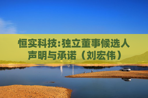 恒实科技:独立董事候选人声明与承诺（刘宏伟）