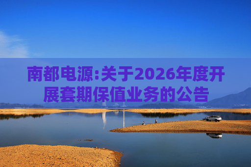 南都电源:关于2026年度开展套期保值业务的公告