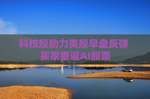 科技股助力美股早盘反弹 买家重返AI股票  第1张