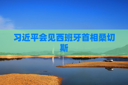 习近平会见西班牙首相桑切斯 第1张 习近平会见西班牙首相桑切斯 第1张