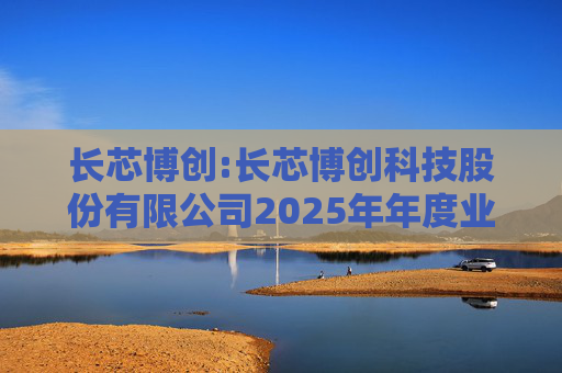 长芯博创:长芯博创科技股份有限公司2025年年度业绩预告  第1张