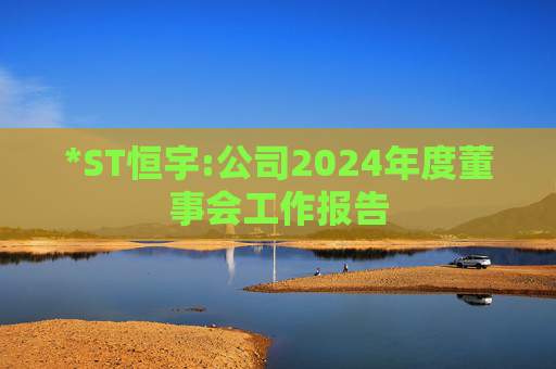 *ST恒宇:公司2024年度董事会工作报告