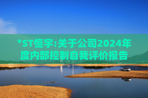 *ST恒宇:关于公司2024年度内部控制自我评价报告