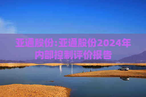 亚通股份:亚通股份2024年内部控制评价报告