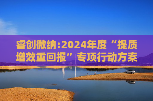 睿创微纳:2024年度“提质增效重回报”专项行动方案的评估报告暨2025年度“提质增效重回报”专项行动方案