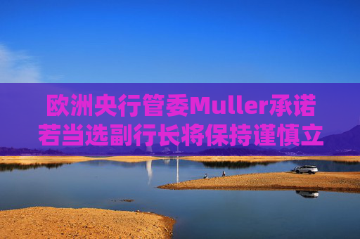 欧洲央行管委Muller承诺若当选副行长将保持谨慎立场